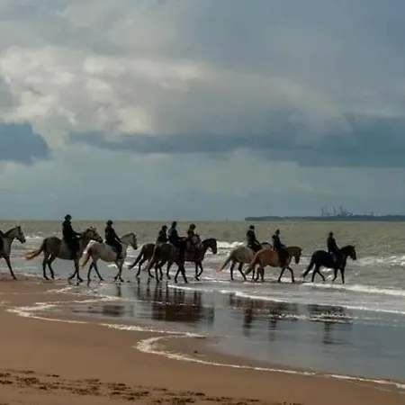 Tres Beau Mobil 40 M2 3ch - 4 Etoiles Les Charmettes 370- Proche Fun Zone