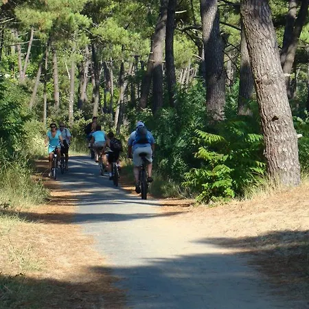 Tres Beau Mobil 40 M2 3ch - 4 Etoiles Les Charmettes 370- Proche Fun Zone